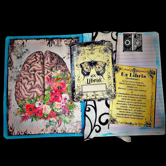 Fallen Queen Anatomy & Wild Roses Art Journal Set Composition Style Lined - Picture 4 of 8